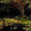 Wonder Albumcover