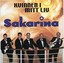 Kvinnen I Mitt Liv Albumcover