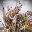 Transmuting cover