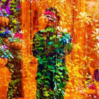 Dan Amor Photo
