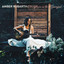 Wildflowers in the Graveyard cover