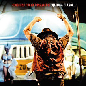 Una rosa blanca album