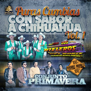Puras Cumbias Con Sabor a Chihuahua, Vol. 1 album