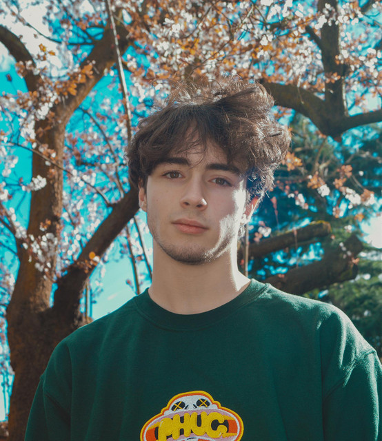 Alfie photo