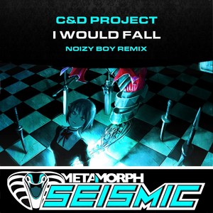 C&D Project
