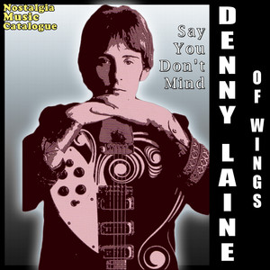Say You Don't Mind cover