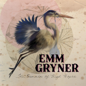 The Summer of High Hopes cover
