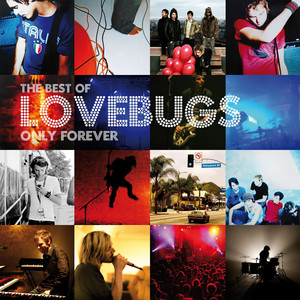 Lovebugs cover