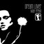 Dream Lover Albumcover