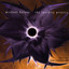 The Lucidity Project Albumcover