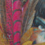Fifth Sun cover