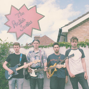 The Snakes cover