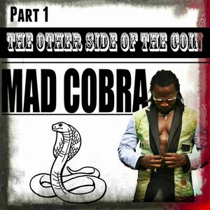 The Other Side Of The Coin Part 1 Albumcover