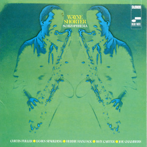 Schizophrenia album