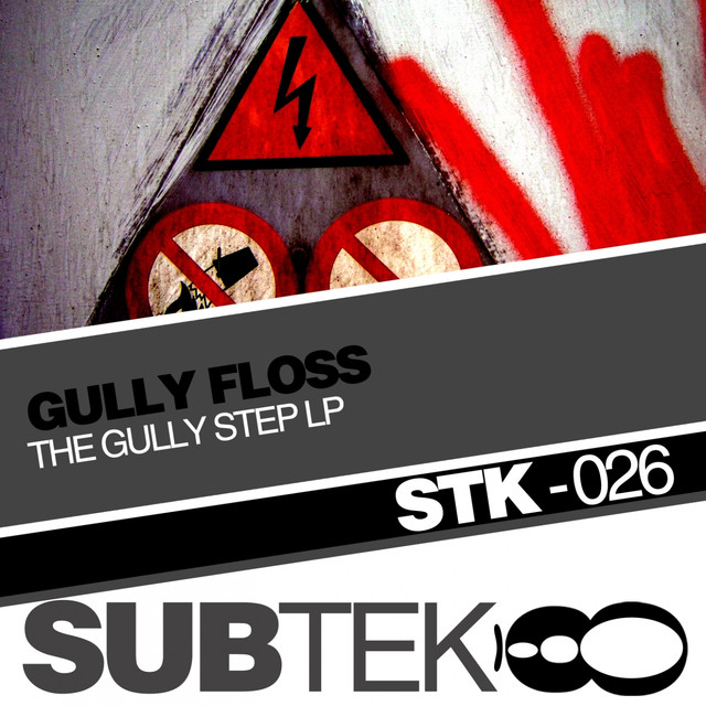 Gully Floss Photo