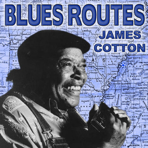 Blues Routes James Cotton album
