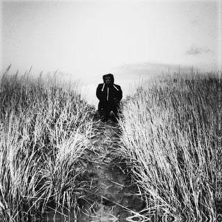 Carcrashlander Photo