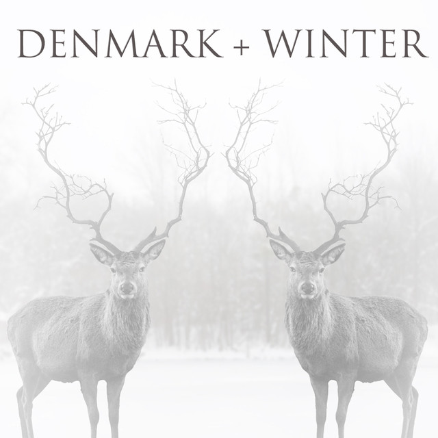 Denmark + Winter Photo