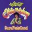 Sure Feels Good: The Best of Elvin Bishop cover