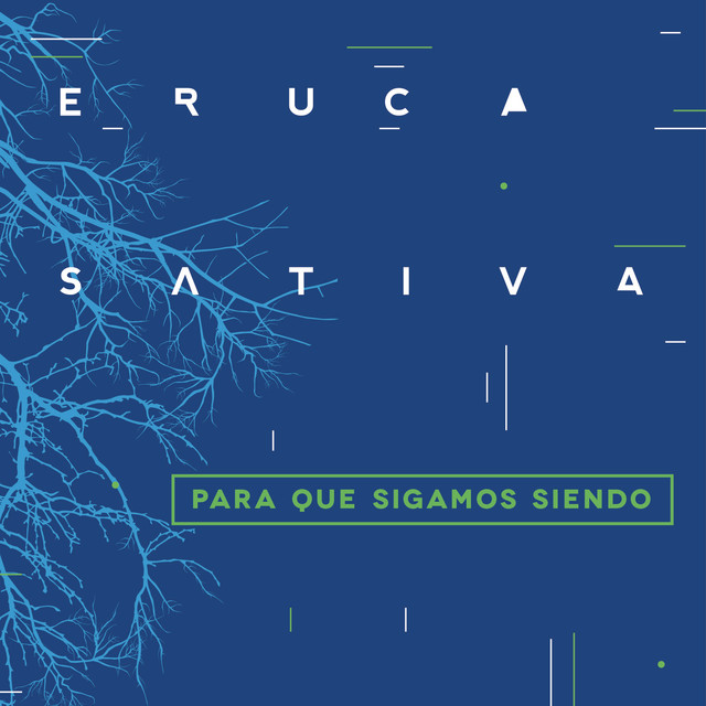 Para Que Sigamos Siendo (en Vivo) cover