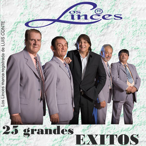 25 Grandes Exitos Albumcover