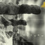 Oscillations cover