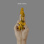 Lowborn cover