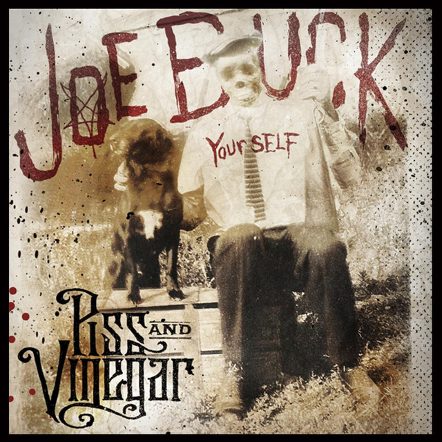 Joe Buck Yourself photo