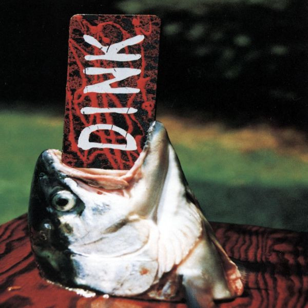 Dink cover