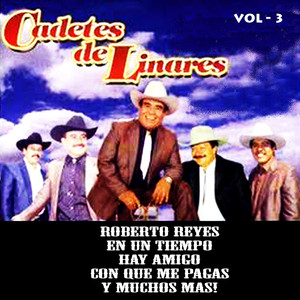 Vol. 3 album