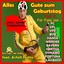 Alles Gute zum Geburtstag! Fans - Teil 2! Fun-Punk Versionen! Albumcover