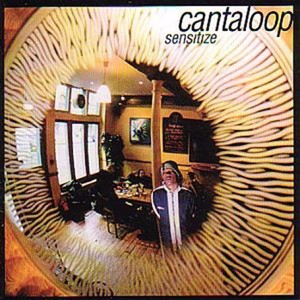 Sensitize Albumcover