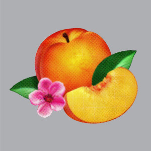 Bankrupt! album