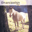 Emancipation Albumcover