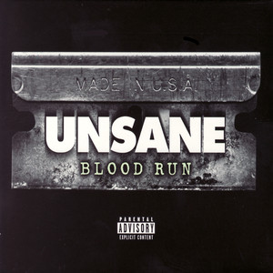 Blood Run cover