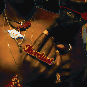 The Inevitable Rise And Liberation Of Niggy Tardust album