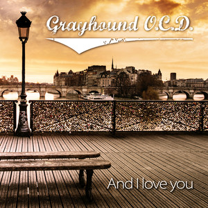 Grayhound O.C.D.
