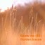 Golden Traces Albumcover