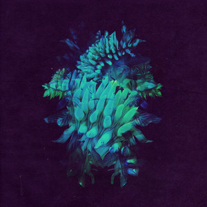 All Glows cover
