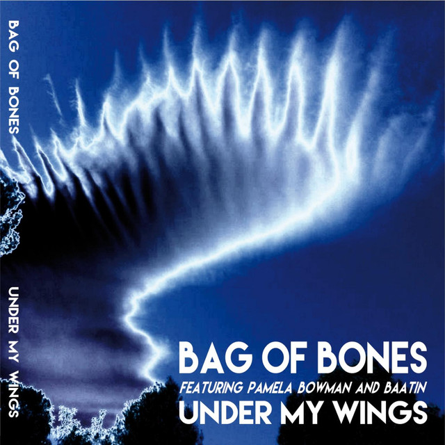 Bag of Bones Photo