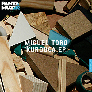Miguel Toro