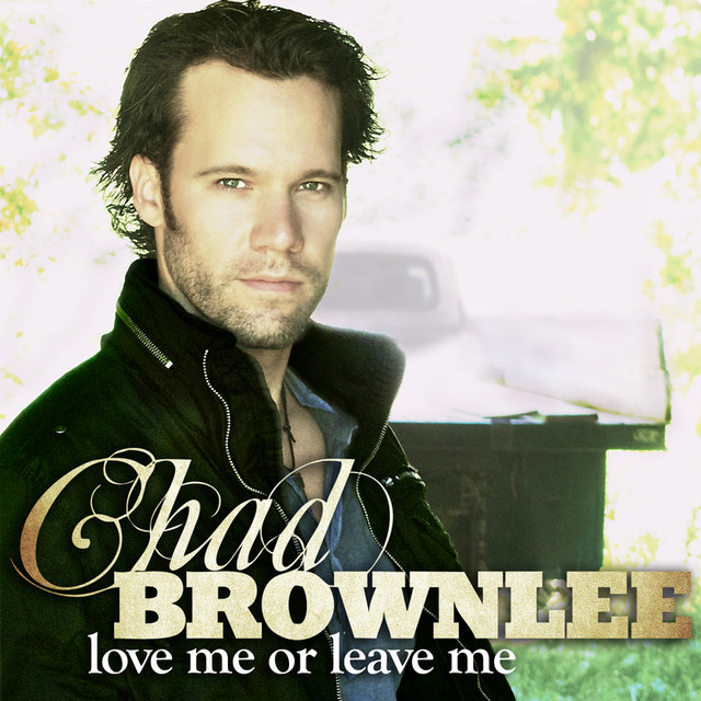 Love Me Or Leave Me cover