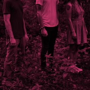 Companion cover
