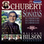 Schubert: Piano Sonatas, Vol. 4: Nos. 6, 13 and 16 Albumcover