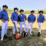 Los Prisioneros del Sur profile