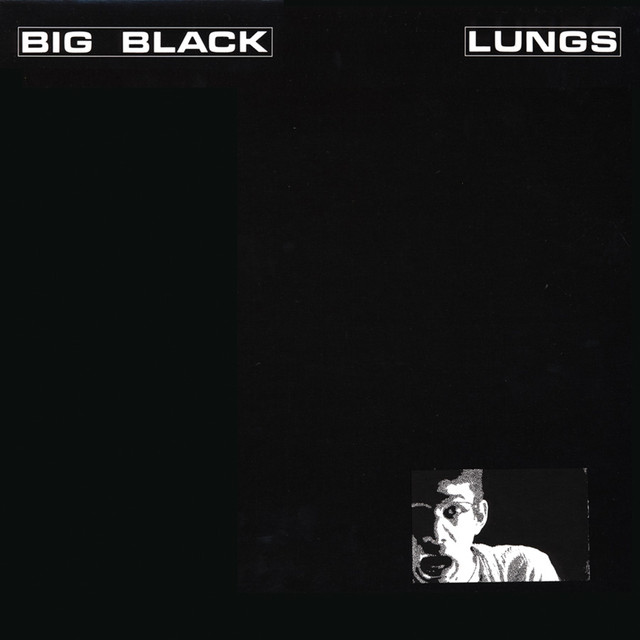 Lungs cover