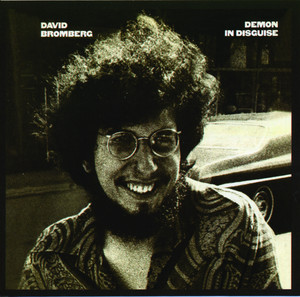 Demon in Disguise album