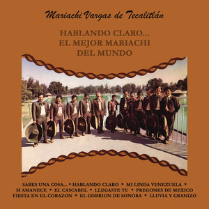 Hablando Claro... el Mejor Mariachi del Mundo album