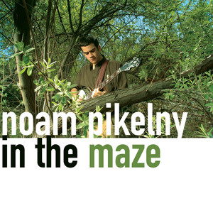 In The Maze cover