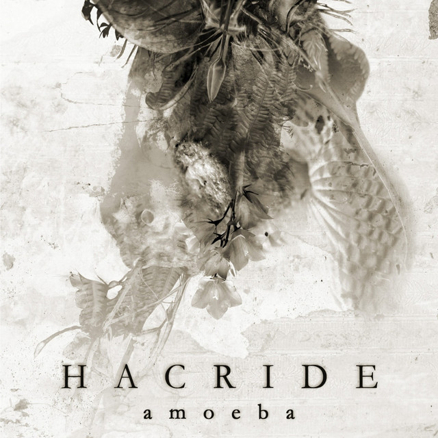 Amoeba cover